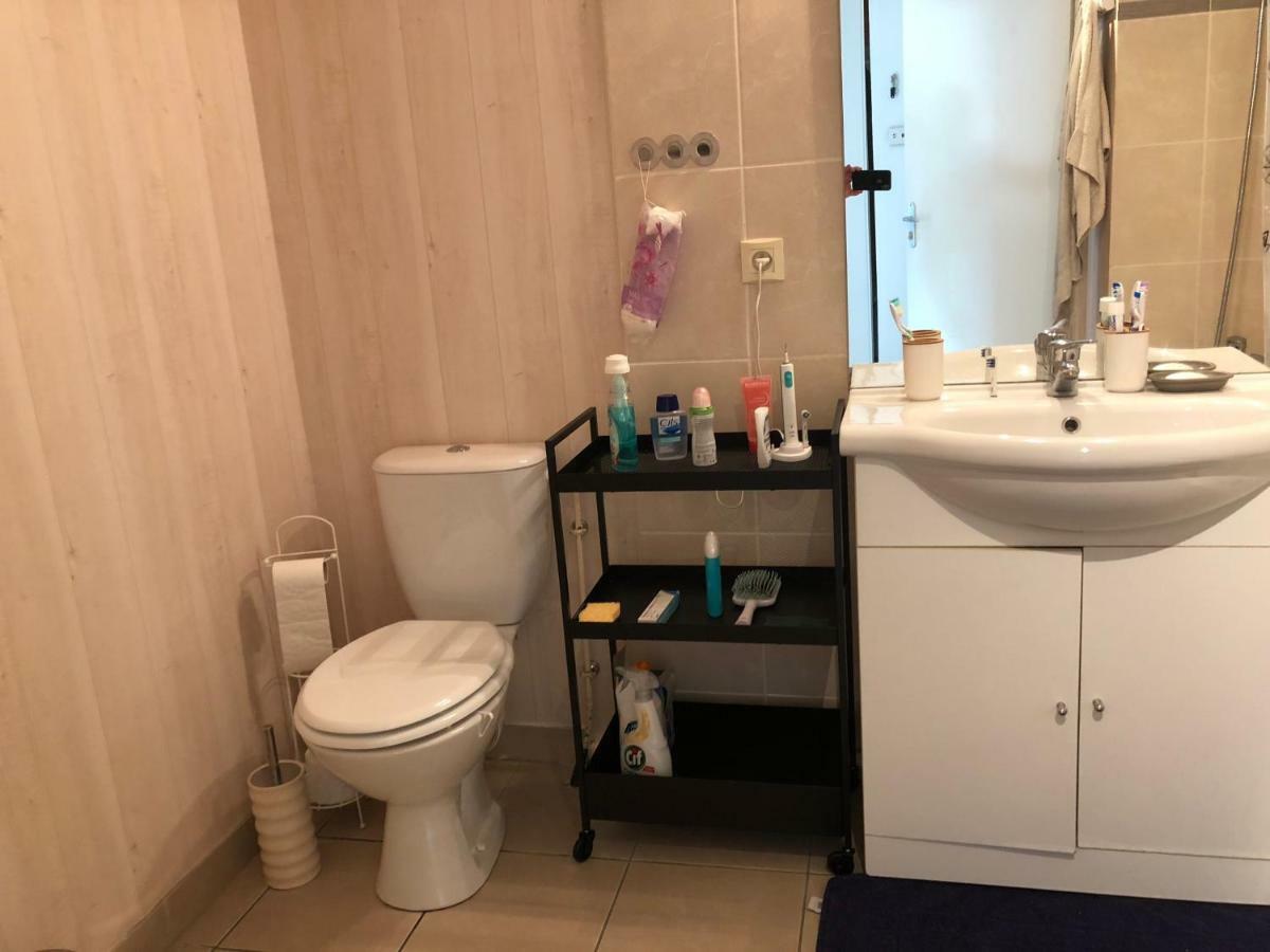 Appartement Au Milieu Des Lacs, Au Bord Du Guiers Aoste Екстериор снимка